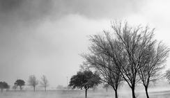 企业授权版的轰炸免费软件